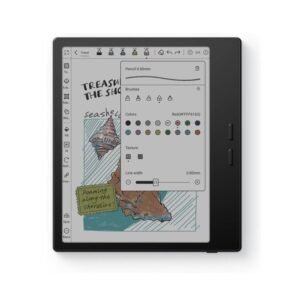 Boox Go Color 7