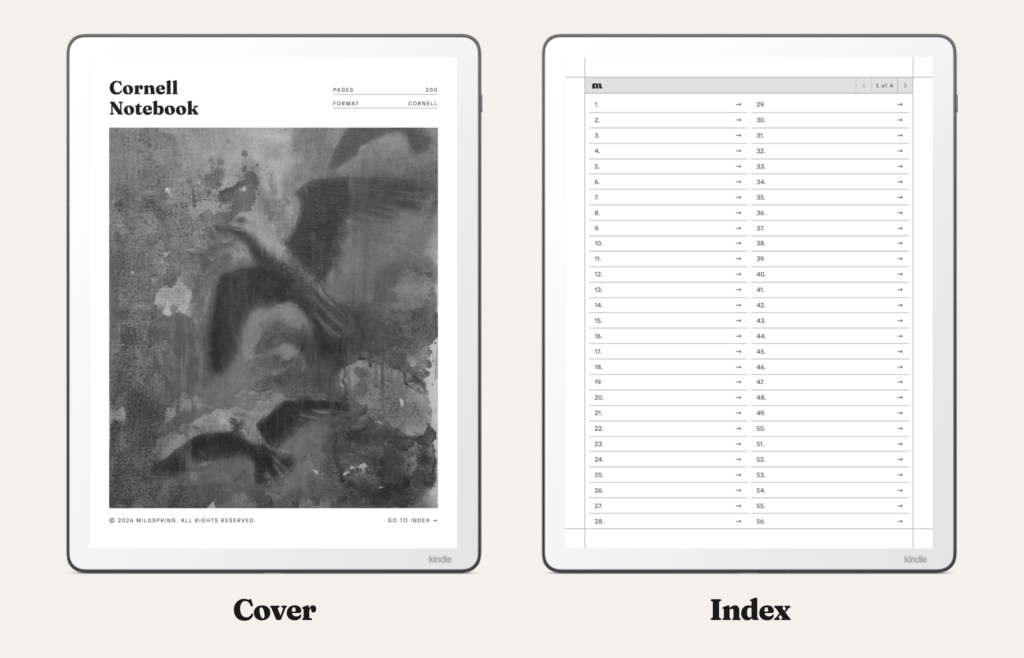 Cornell Notes Digital Notebook for Kindle Scribe, image 2