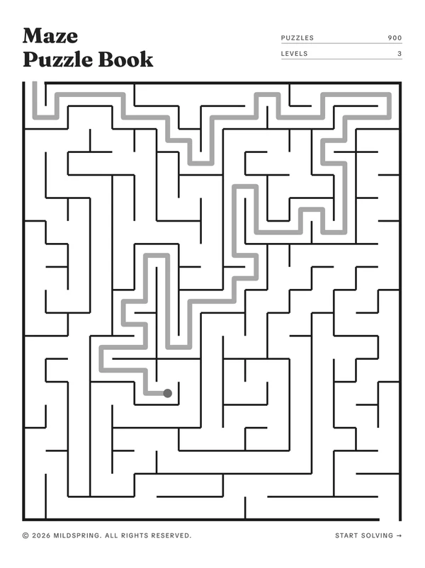 Maze Puzzle Book for Quaderno cover