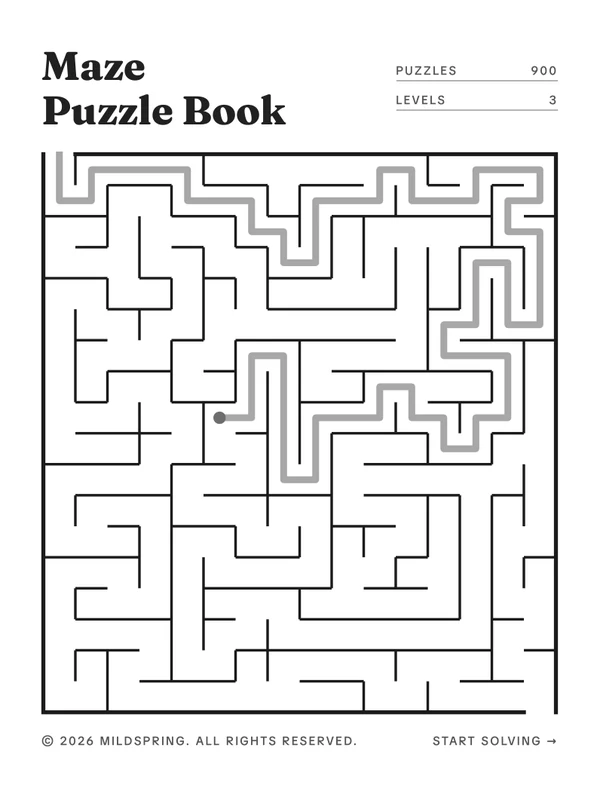 Maze Puzzle Book for Supernote cover
